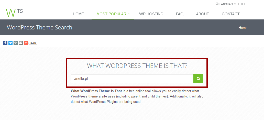 Motywy do WordPressa - jak sprawdziÄ‡, na jakim motywie stoi strona na WordPressie?