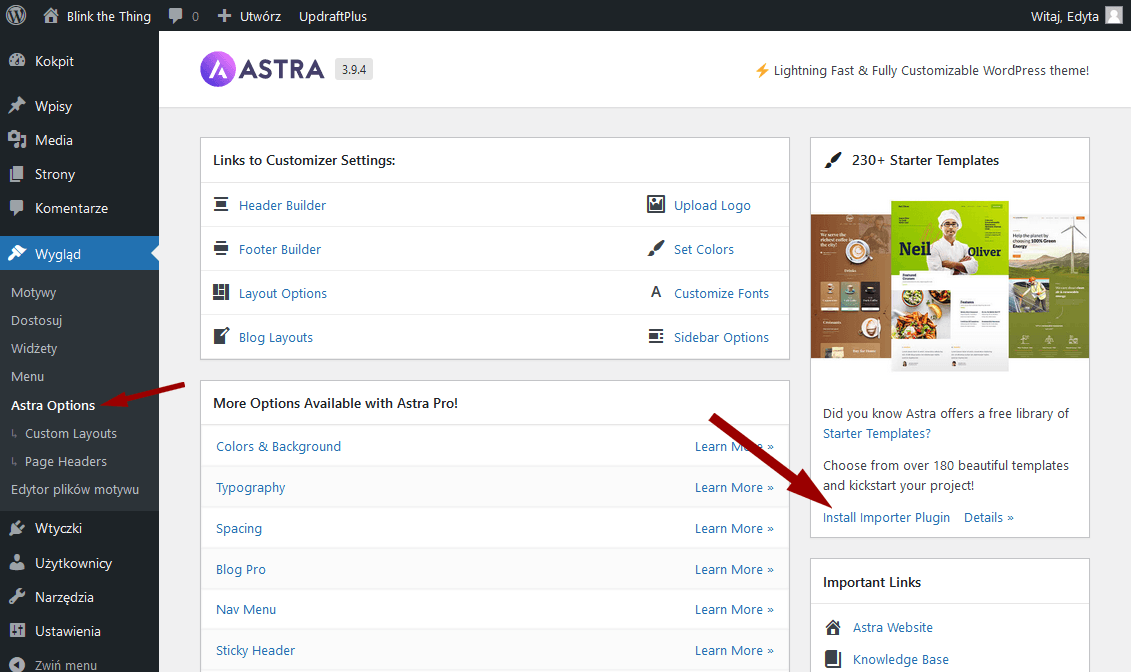 Motyw Astra w WordPressie - import demo